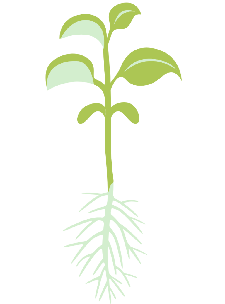 Tricia Seeds (2)